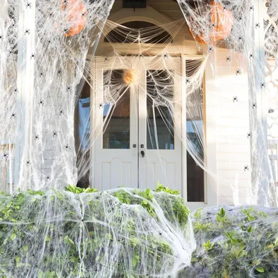 Image de Décoration Araignée pour Halloween Ensemble 100 g Toile d’araignée 60 Araignées