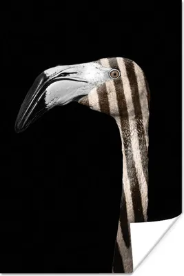 Produktbild von MuchoWow® Poster Flamingo - Porträt - Zebra 120x180 cm - Kunstposter