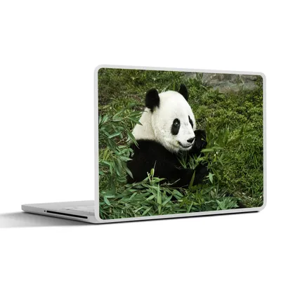 Produktbild von MuchoWow® Laptop Aufkleber Sticker Cover Panda - Bambus - Pflanze 32.5x23.5 cm - Sticker für Laptop - Selbstklebend