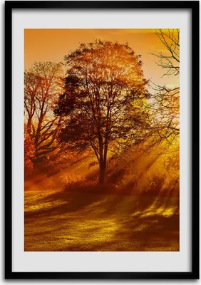 Produktbild von Bild - Bilderrahmen - Foto - 70 cm x 100 cm - MDF - Rahmen - Wandkunst - Park im Herbst