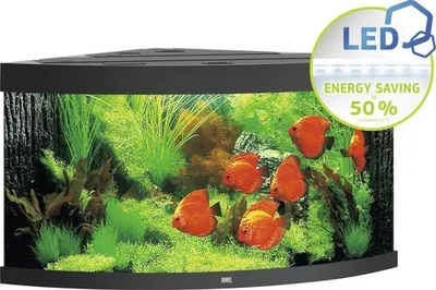 Produktbild von Aquarium JUWEL Trigon 350 mit LED-Beleuchtung, Filter, Heizer ohne Unterschrank schwarz ca. 123 x 87 x 65 cm ca. 350 L E