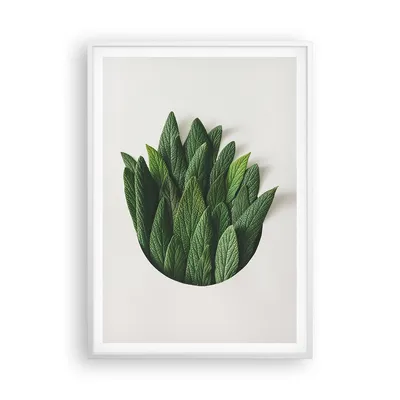 Produktbild von Gerahmtes Poster - Weißer Rahmen - Salbei Medizin Blätter - 70x100 cm - Wand Bild - Wanddeko - Wandbilder - Kunstposter - Wandposter - Bilderrahmen - Bilder - Kunstdruck - P2WPA70x100-4859