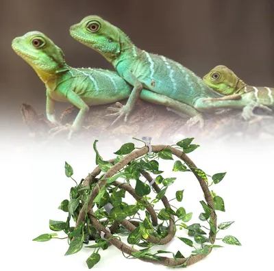 Image de Reptile Climbing Branch Flexible Jungle 9.84ft Rattan 3 Vines( 9.84ft Rattan+Scindapsus Leaves)