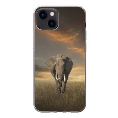 Produktbild von MuchoWow® Handyhülle Schutzhülle Hülle für iPhone 13 mini Elefant - Tiere - Gras - Natur Silikon Softcase Handy Hülle - Softcase