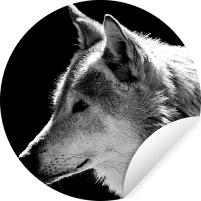 Produktbild von MuchoWow® Runde Wandtattoo - Wandsticker Tapete Aufkleber Wildlife - Wolf - Schwarz - Weiß Ø 100 cm Selbstklebend und Repositionierbar - Wandaufkleber - Kreis - Tapetenkreis - Wandbild rund - Schlafzimmerdekoration - Wanddeko - runde Tapete - Kunst für zu Hause