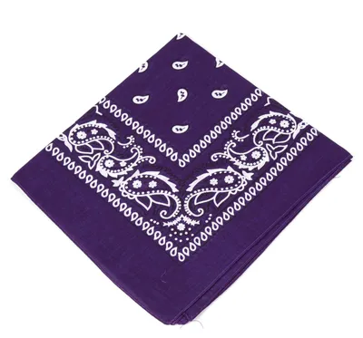 Obrázok produktu pre Boolavard, 1, 6, 9 alebo 12 kusov: Cowboy bandana, šatovka s originálnym vzorom Paisley
