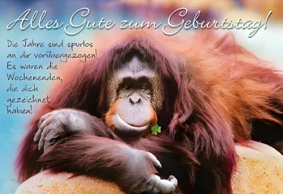 Produktbild von Cartolini Klappkarte mit Sprüchen 035d Alles Gute