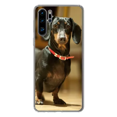Produktbild von MuchoWow® Handyhülle Schutzhülle Hülle für Huawei P30 Pro Porträt eines schwarzen Dackels Silikon Softcase Handy Hülle - Schutzdeckel