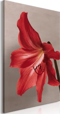 Produktbild von Vlies Leinwandbild - Red Flower (1 Part) Vertical 40x60 cm Blumen b-C-1027-b-a