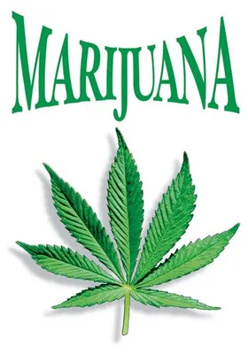 Immagine prodotto di MARIJUANA - 61x91 cm - Poster