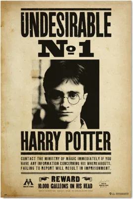 Produktbild von Harry Potter Unerwü nschte Nummer 1-Poster