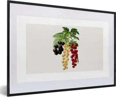 Produktbild von MuchoWow® Gerahmtes Poster Lebensmittel - Beeren - Obst 60x40 cm - Poster mit Schwarzem Bilderrahmen Wandposter Rahmen Foto Bilder - Schlafzimmer - Plakat in Rahmen - Drucken