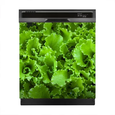 Produktbild von Aufkleber sticker 60x60 cm Dekorative folie Spülmaschine - Grüne Salatblätter