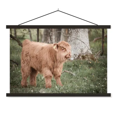 Produktbild von MuchoWow® Textilposter Schottischer Highlander - Licht - Wald 60x40 cm mit schwarzem Rahmen - Hölzernes