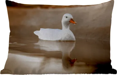 Produktbild von MuchoWow® Outdoor Kissen - Ente - Vogel - Wasser - Weiß - 50x30 cm - Wetterfest - Lounge Kissen - Sofa kissen - Wohnzimmer Dekoration