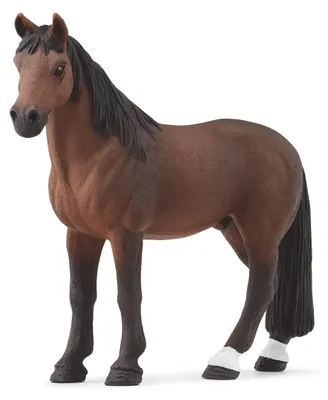 Imagen del producto de Caballo Tennessee Walker, castrado (macho), de color marrón