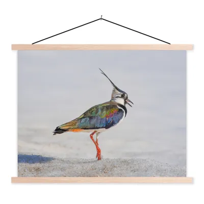 Produktbild von MuchoWow® Textilposter Vogel - Tiere - Sand - Kiebitz 40x30 cm mit holzfarbenen Rahmen - Bilder
