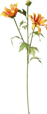 Produktbild von Frühlingsblume 74 cm Kunstblume Flora