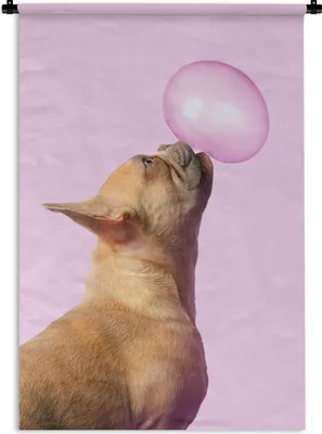 Produktbild von MuchoWow® Wandteppich Wandbehang Hund - Tiere - Kaugummi - Rosa 120x180 cm Tapisserie Dekoration Wandtuch - Schlafzimmer - Dekorationen für das Haus