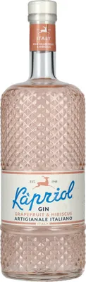 Produktbild von Kapriol GRAPEFRUIT & HIBISCUS Gin Artigianale Italiano 40,7% Vol. 0,7l