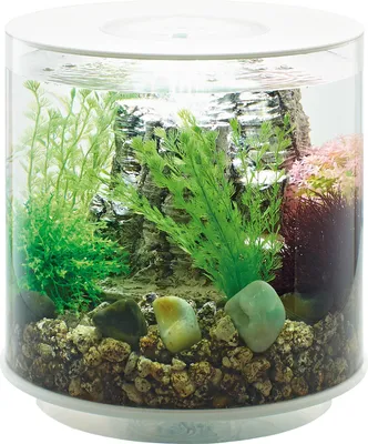 Produktbild von biOrb TUBE 15 LED weiß (92393)