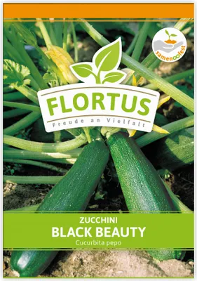 Produktbild von Zucchini Black Beauty | Zucchinisamen von FLORTUS