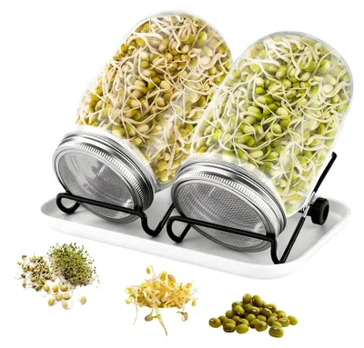 Produktbild von Sprossenglas Set, 2 x 750ml Sprossengläser mit Abtropfschale, verstellbaren Halterungen und Edelstahl Deckeln, Keimgerät für Alfalfa, Brokkoli, Mungobohnen