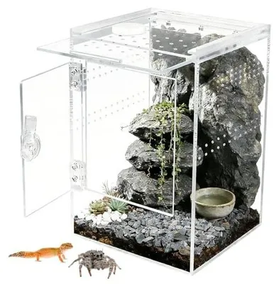 Zdjęcie produktu dla Terrarium przedni otwór akrylowe 15X15X23 cm dla gadów pająków