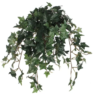 Immagine prodotto di Mica Decorations Pianta artificiale di edera in vaso Stan - L45 x L25 x H25 cm - Verde