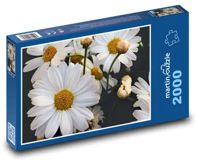 Obrázek produktu pro Puzzle 2000 Jarní květy na zahradě - martinpuzzle