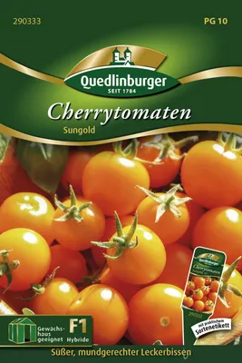 Produktbild von Cherrytomaten Sungold | Kirschtomatensamen von Quedlinburger