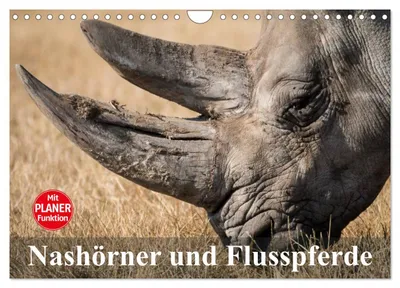 Produktbild von Nashörner und Flusspferde (Wandkalender 2027 DIN A4 quer), CALVENDO Monatskalender