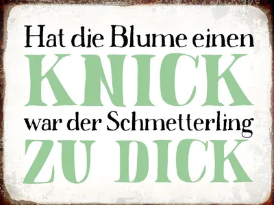 Produktbild von vianmo Holzschild 30x40 cm Blume Knick Schmetterling dick