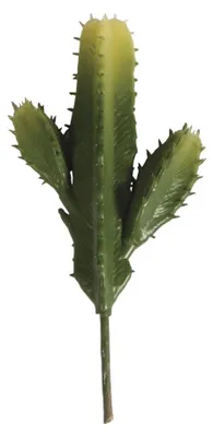 Productafbeelding van Rayher Hobby, artikelnummer 55779000: Zuilcactus, gesorteerd, 7,3 x 15 cm