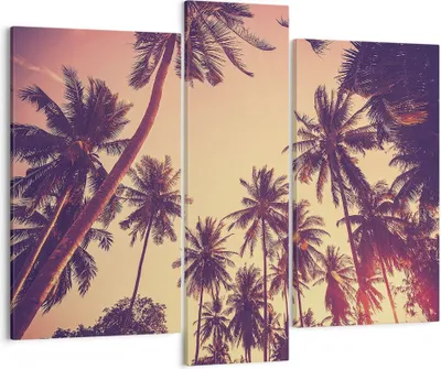 Produktbild von Bild auf Leinwand - Leinwandbild - 3 Teile - Palmen Himmel Sonne - 95x80cm - Wand Bild - Wanddeko - Wandbilder - Leinwanddruck - Bilder - Wanddekoration - Leinwand bilder - Wandbild - CB95x80-4220