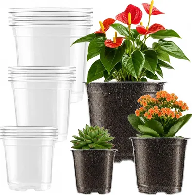 Imagen del producto de 15 macetas transparentes para la germinación, de 9/10/13 cm, ideales para orquídeas, cactus, plántulas y suculentas
