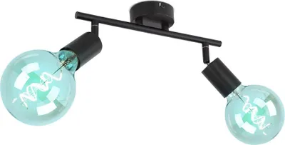 Produktbild von RGB LED Deckenleuchte, 2-Flammig, schwarz, Spots verstellbar, L 30 cm