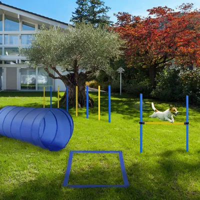 Produktbild von Hunde Agility Set 4-teilig mit Tunnel, Slalomstangen Hürden Startfeld, PE/Polyester, Gelb+Blau | 60x60x148 cm | 3,65 kg | mit Tragetasche