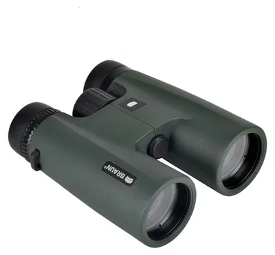 Produktbild von Braun Wildline           8x42