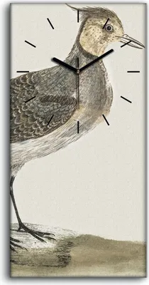 Produktbild von Leinwand Uhr Küche Wohnzimmer Bild Geräuschlos 30x60 Malerei Tier Vogel Kunst - schwarze Hände