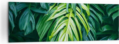 Produktbild von Bild auf Leinwand - Leinwandbild - Blume Natur - 160x50cm - Wand Bild - Wanddeko - Wandbilder - Leinwanddruck - Bilder - Kunstdruck - Wanddekoration - Leinwand bilder - Wandkunst - AB160x50-3951