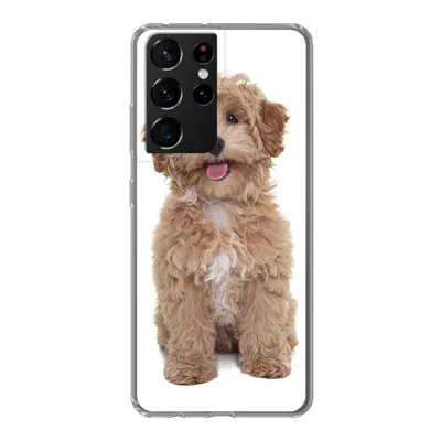 Produktbild von MuchoWow® Handyhülle Schutzhülle Hülle für Samsung Galaxy S21 Ultra Hund - Haustiere - Fell Silikon Softcase Handy Hülle - Mobiltelefon