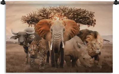 Produktbild von MuchoWow® Wandteppich Wandbehang Tiere - Elefant - Löwe 90x60 cm Tapisserie Dekoration Wandtuch - Wandskulpturen - Bildteppich