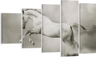 Produktbild von Bild auf Leinwand - Leinwandbild - Pferd Tier - 100x60cm - Wand Bild - Wanddeko - Wandbilder - Leinwanddruck - Bilder - Kunstdruck - Wanddekoration - Leinwand bilder - Wandkunst - EG100x60-3542
