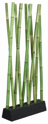 Produktbild von Bambus Raumteiler PARAVENTO Grün ca. 97x200cm (BxH)