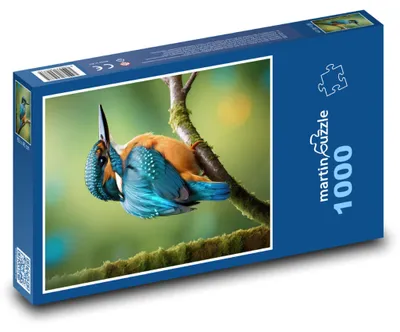 Obrázok produktu pre Puzzle 1000 Ľadovček - zimný vták - martinpuzzle
