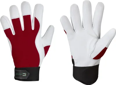 Produktbild von CARVER ELYSEE® Handschuhe Größe 8