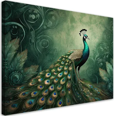 Produktbild von Leinwandbild Vögel Pfau Natur 60x40 Feeby Grün bild für die wand bereit zum aufhängen