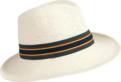 Immagine prodotto di Cappello di paglia da uomo WI1526 (taglia unica) (colore unico)