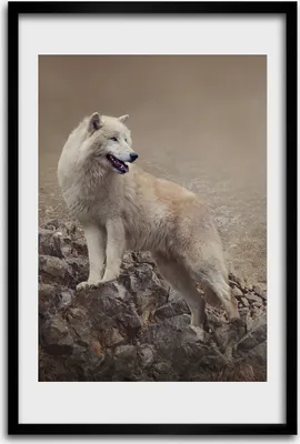 Produktbild von Bild - Bilderrahmen - 40 cm x 60 cm - MDF - Rahmen - Wandkunst - Wolf auf dem Felsen